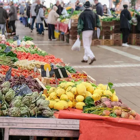 Apartment B066 Design A 5 Mn De La